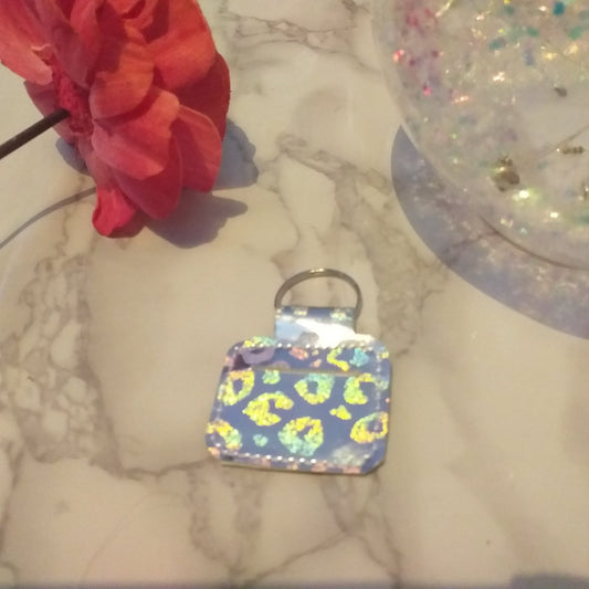 Coin holder/keyring